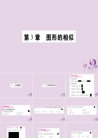 九年级数学上册 第3章 图形的相似 31 比例线段 311 比例的基本性质作业课件 (新版)湘教版 课件