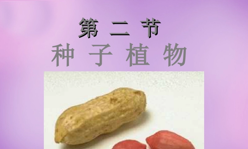 中学七年级生物上册 3.1.2 种子植物课件 新人教版