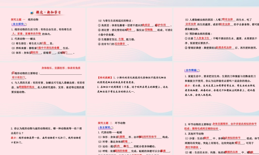 八年级生物上册 第五单元 第一章 第二节 线形动物和环节动物课件 (新版)新人教版 课件