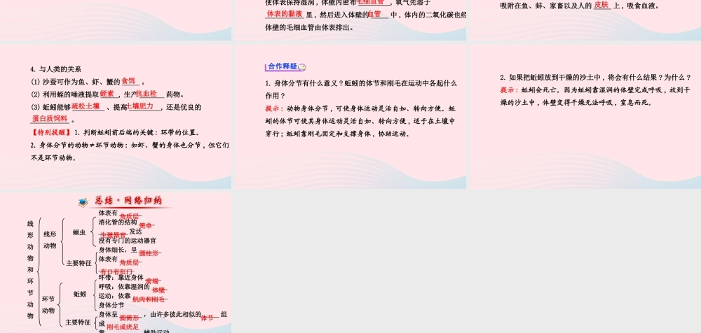 八年级生物上册 第五单元 第一章 第二节 线形动物和环节动物课件 (新版)新人教版 课件