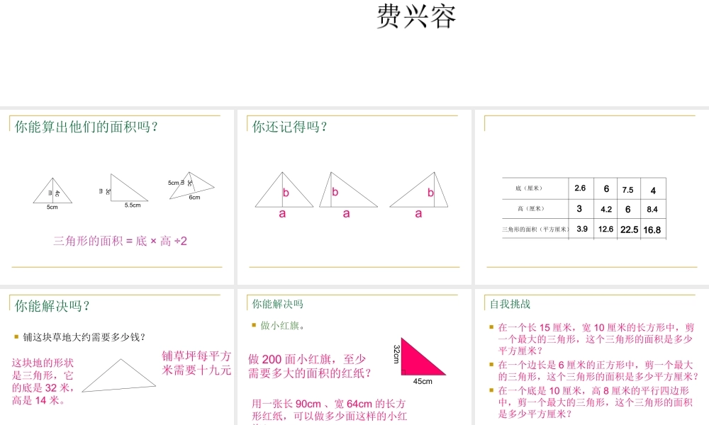 费兴容三角形的面积二MicrosoftPowerPoint演示文稿(2)