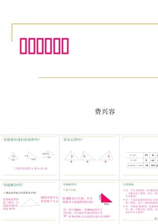 费兴容三角形的面积二MicrosoftPowerPoint演示文稿(2)