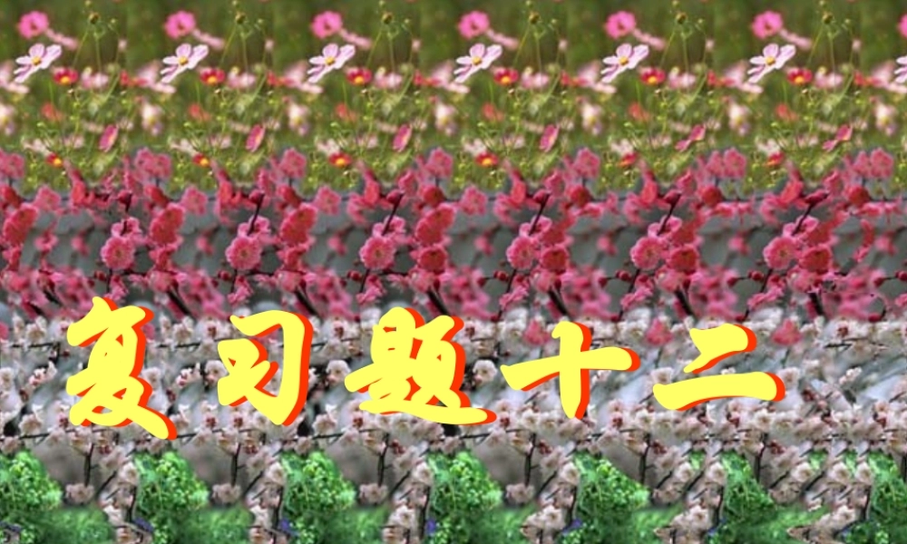 复习题十二 初三数学复习题课件[整理十四套]人教版