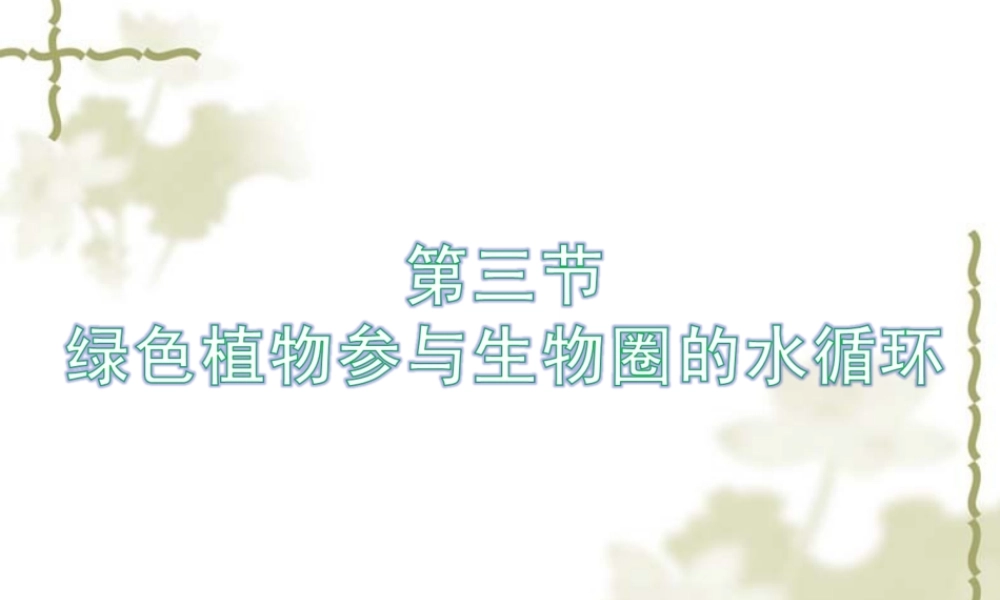 七年级生物 绿色植物参与生物圈的水循环 课件