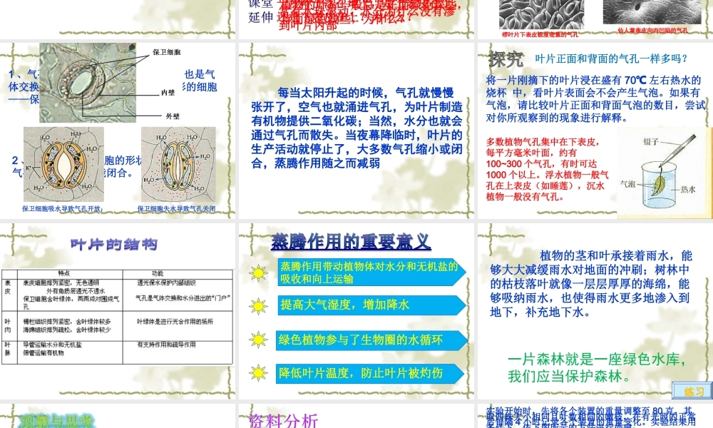 七年级生物 绿色植物参与生物圈的水循环 课件