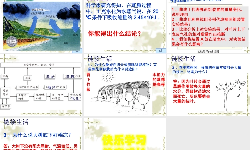 七年级生物 绿色植物参与生物圈的水循环 课件