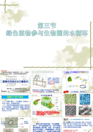 七年级生物 绿色植物参与生物圈的水循环 课件