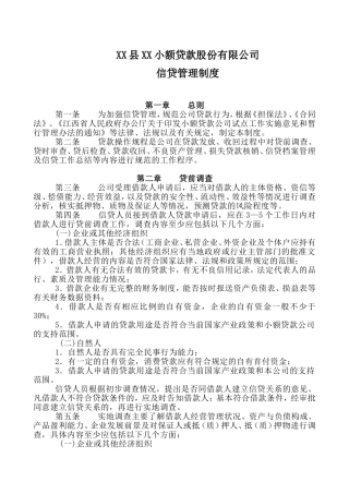 XX小额贷款股份有限公司管理制度