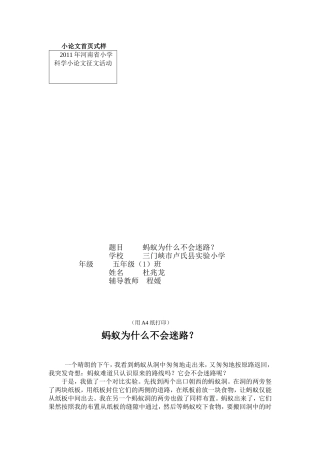 蚂蚁为什么不会迷路