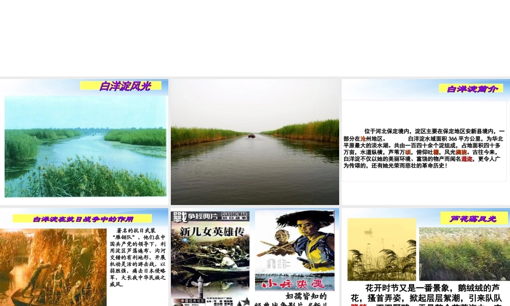 山东省济南市二十七中八年级语文(芦花荡)课件