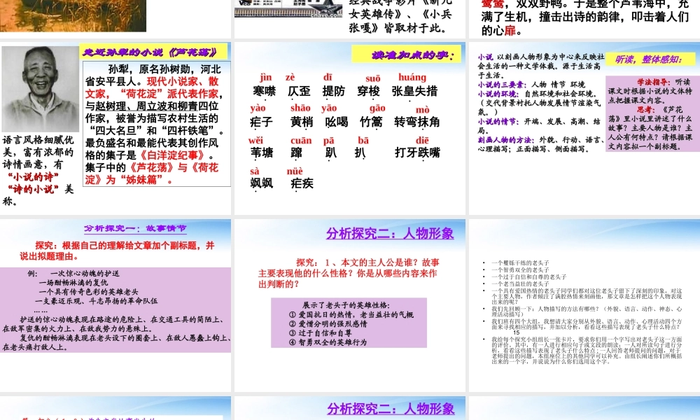 山东省济南市二十七中八年级语文(芦花荡)课件