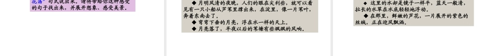 山东省济南市二十七中八年级语文(芦花荡)课件