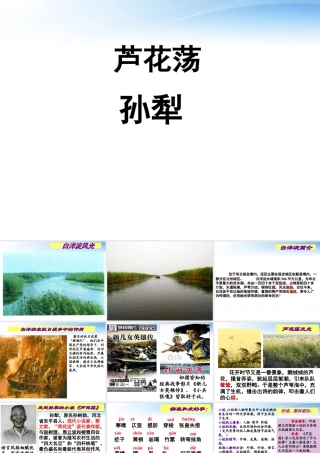 山东省济南市二十七中八年级语文(芦花荡)课件