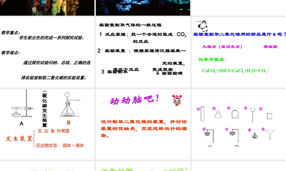 二氧化碳的制取和性质