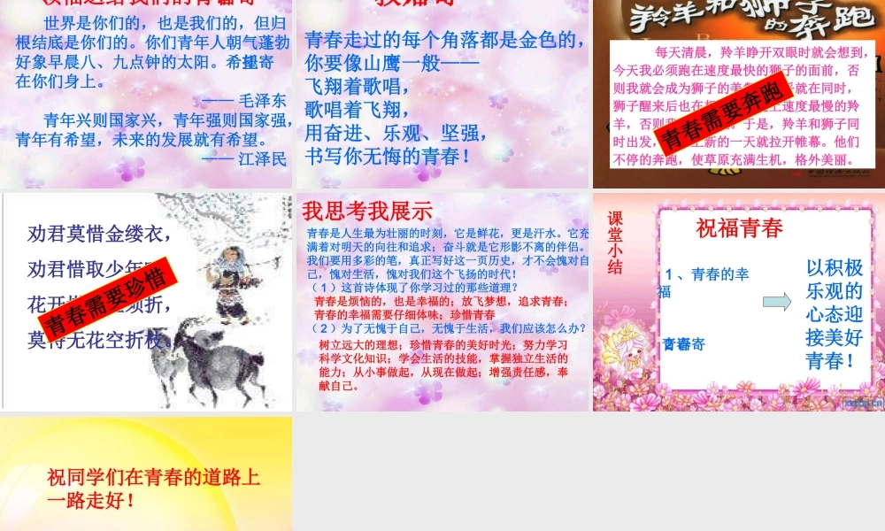 七年级政治祝福青春