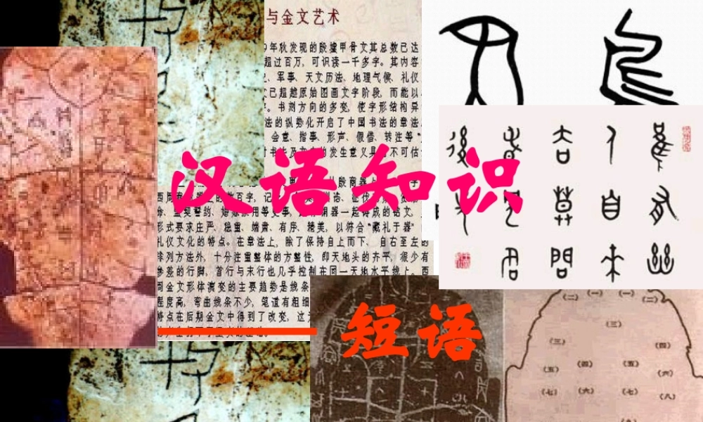 八年级语文 汉语知识课件 苏教版 课件