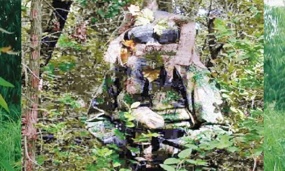 (人教版小学美术三年级下册)迷彩服课件