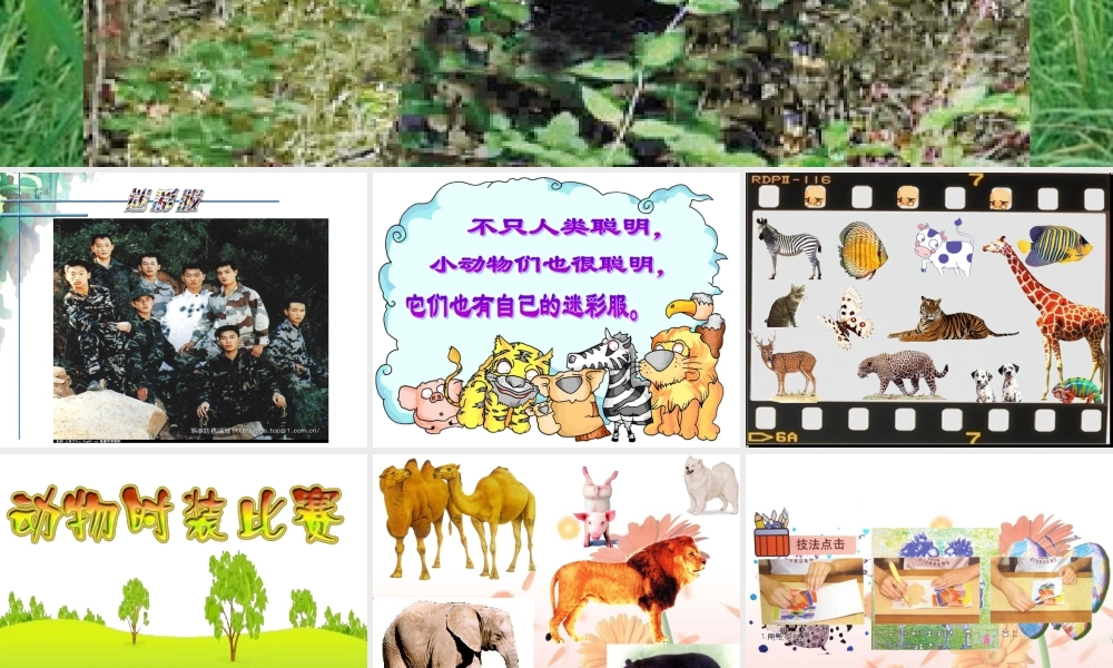 (人教版小学美术三年级下册)迷彩服课件