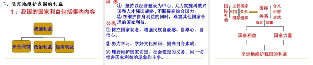 国际关系的决定因素：国家利益