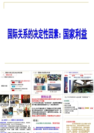 国际关系的决定因素：国家利益