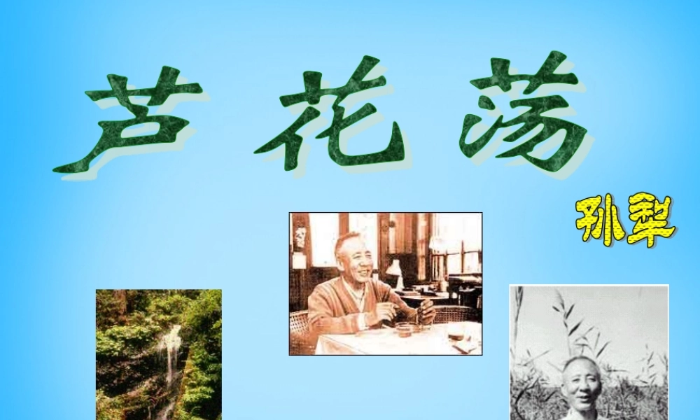 八年级语文上册(第2课 芦花荡(第1课时))课件 新人教版 课件