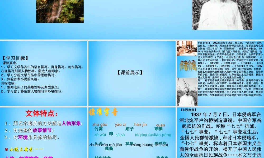 八年级语文上册(第2课 芦花荡(第1课时))课件 新人教版 课件