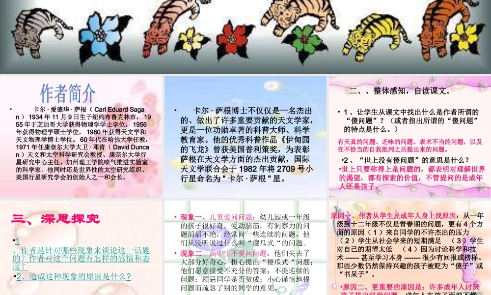 世上没有傻问题 课件示例 课件