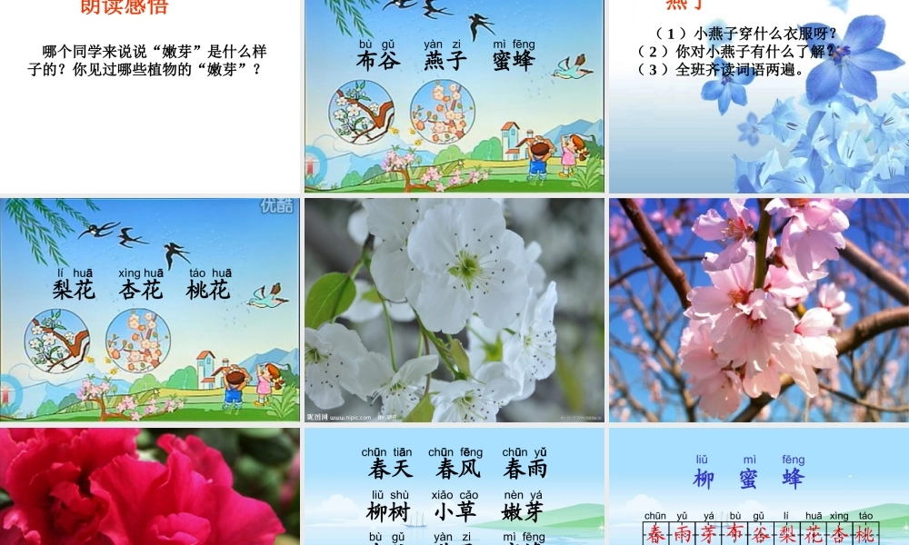 《识字1》课件(苏教版一年级语文下册课件)