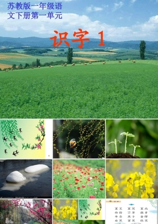 《识字1》课件(苏教版一年级语文下册课件)