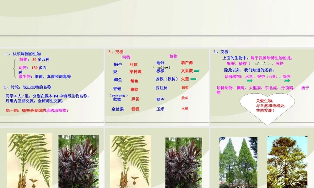 七年级生物上册 1.1我们周围的生物课件 苏教版 课件