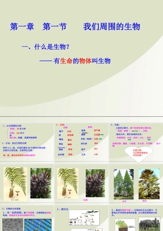 七年级生物上册 1.1我们周围的生物课件 苏教版 课件
