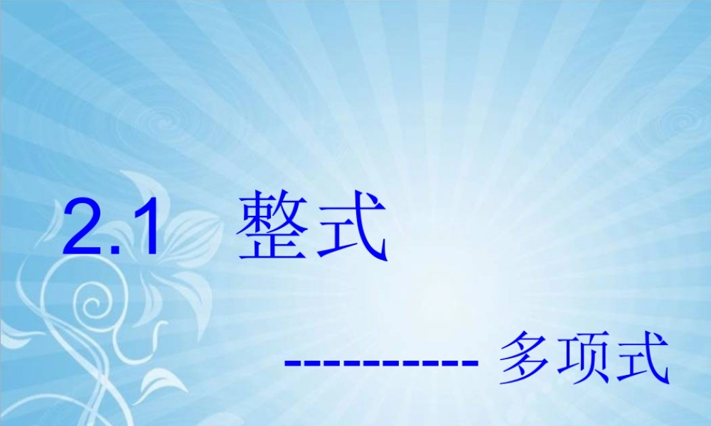 整式多项式第课时