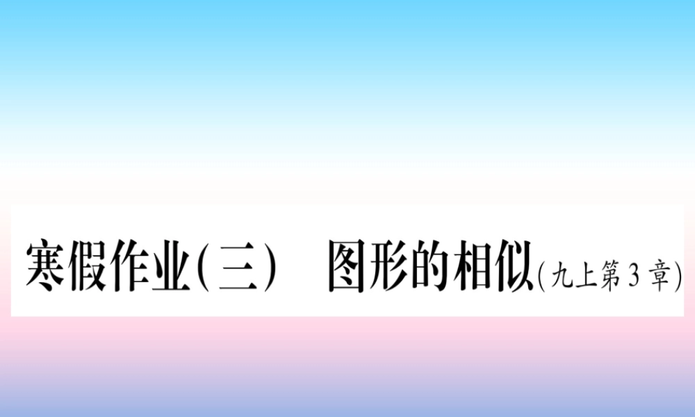 九年级数学下册 寒假作业(三)图形的相似作业课件 (新版)湘教版 课件