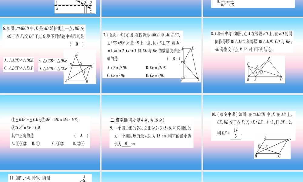 九年级数学下册 寒假作业(三)图形的相似作业课件 (新版)湘教版 课件