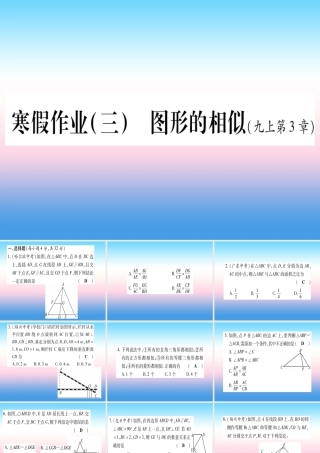 九年级数学下册 寒假作业(三)图形的相似作业课件 (新版)湘教版 课件