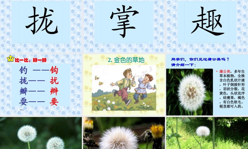 三年级语文上册第一组2.金色的草地第二课时课件