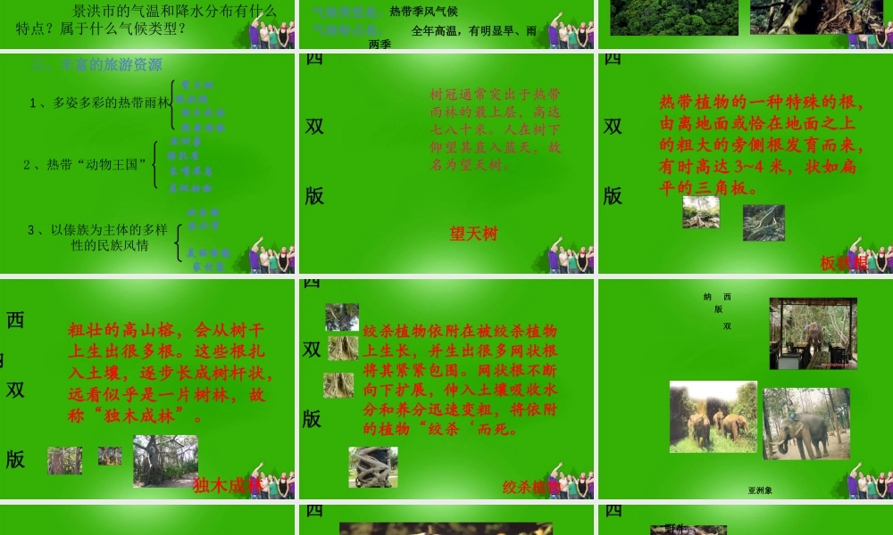 八年级地理 (西双版纳)课件 人教新课标版 课件