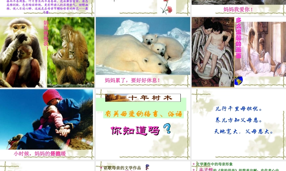 献给母亲的歌-(2)