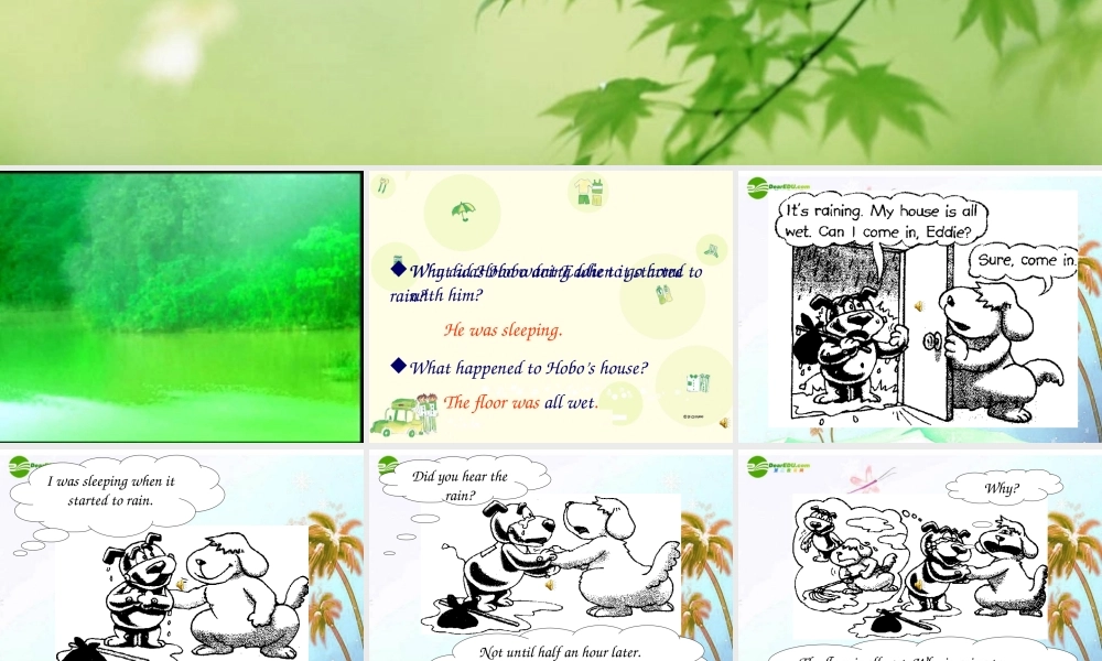 八年级英语上册 Unit6 Welcome to the unit2课件 牛津版 课件