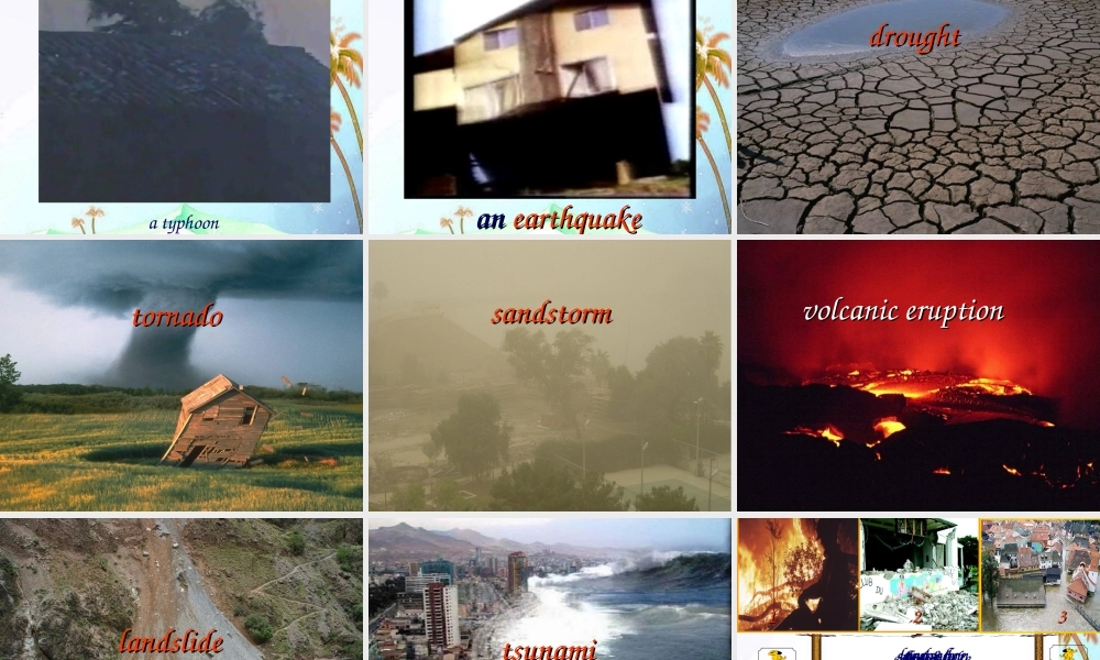 八年级英语上册 Unit6 Welcome to the unit2课件 牛津版 课件