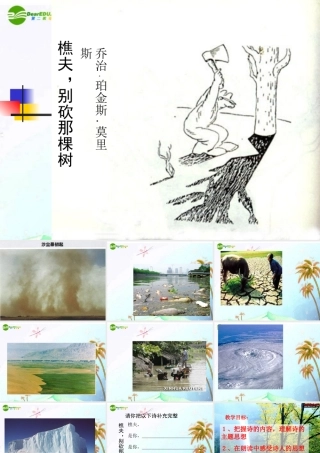 八年级语文下册(樵夫，别砍那棵树)课件 语文版 课件