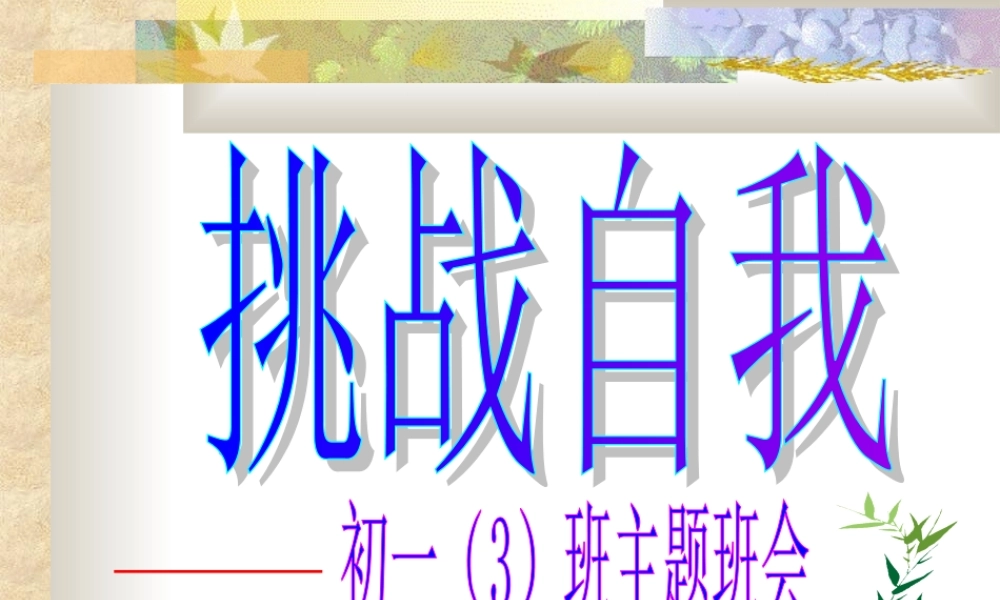 初中班会挑战自我