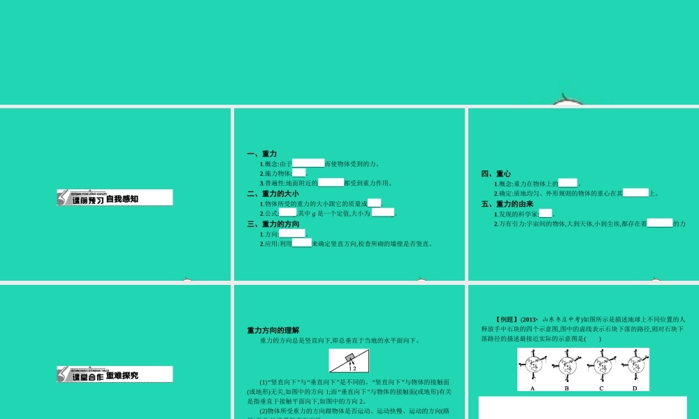 八年级物理下册 7.3 重力课件 (新版)新人教版