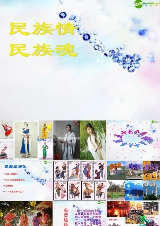 八年级政治下册 第十八课(民族情 民族魂)课件 苏教版 课件
