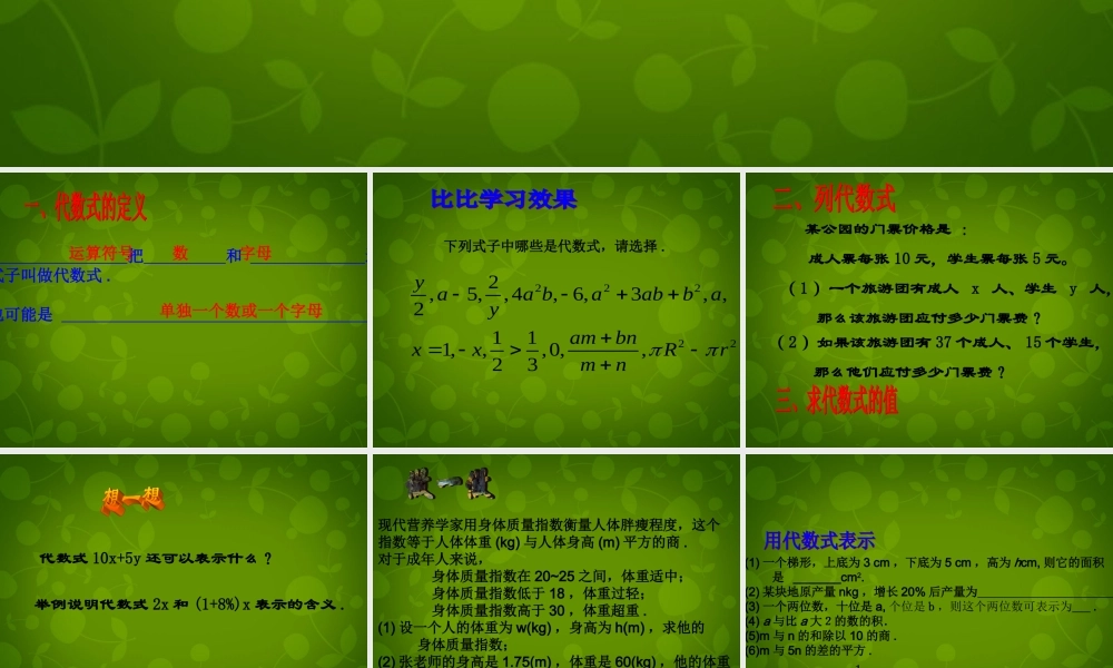 中学七年级数学上册 3.2 代数式课件 (新版)北师大版 课件