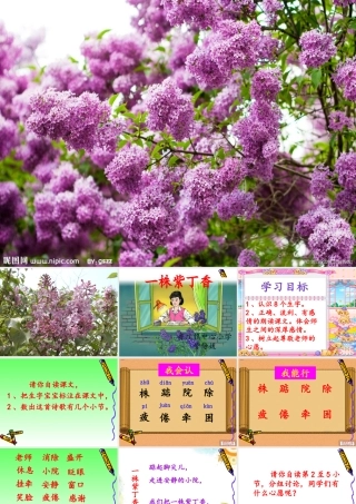 《一株紫丁香》公开课