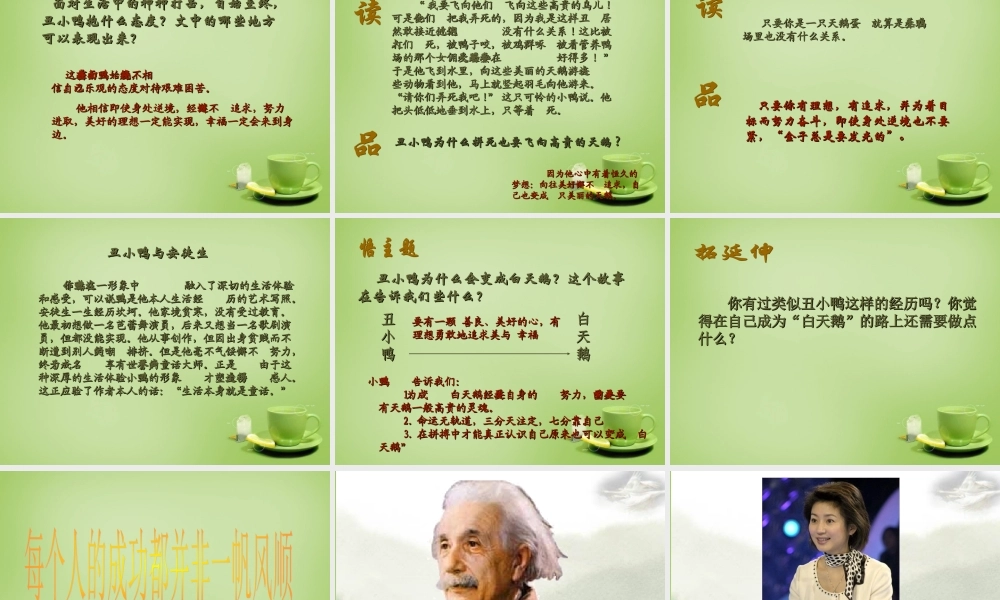 中学七年级语文下册 1.3(丑小鸭)课件 (新版)新人教版 课件