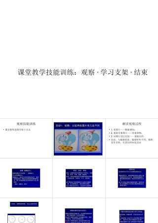 课堂教学技能训练：观察·学习支架·结束