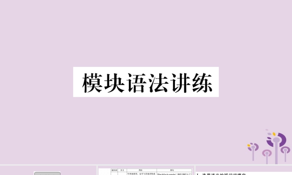 七年级英语下册 Module 10 A holiday journey模块语法讲练习题课件 (新版)外研版 课件