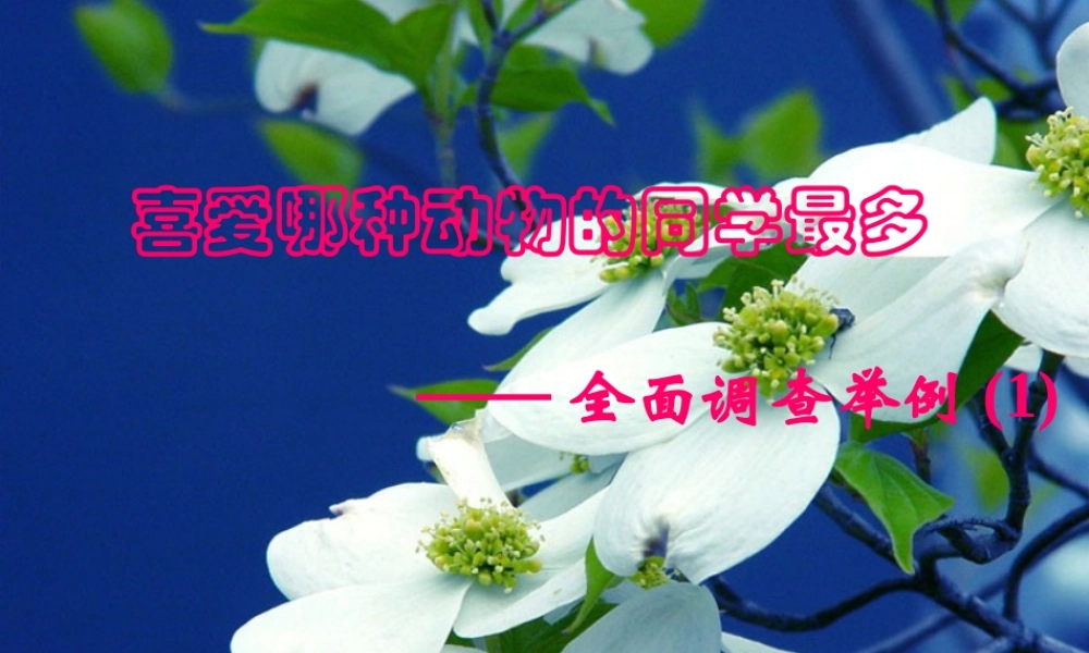七年级数学全面调查举例课件3 新课标 人教版 课件